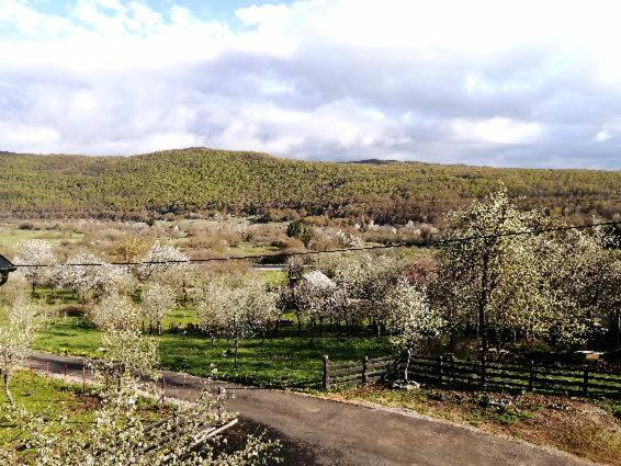 Farma & Apartmani II Opg Sasa Delic Grabusic Bagian luar foto