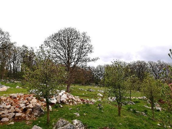Farma & Apartmani II Opg Sasa Delic Grabusic Bagian luar foto
