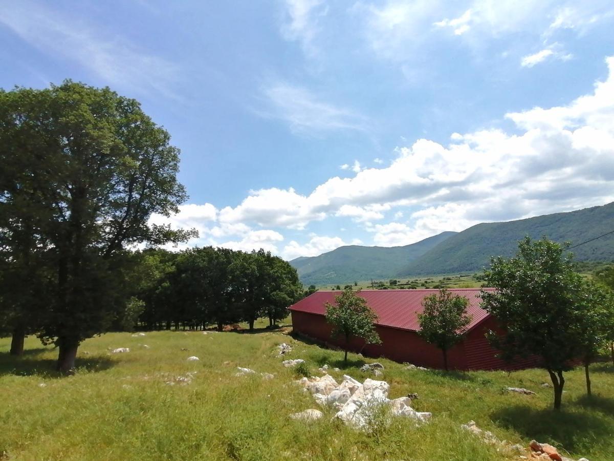 Farma & Apartmani II Opg Sasa Delic Grabusic Bagian luar foto