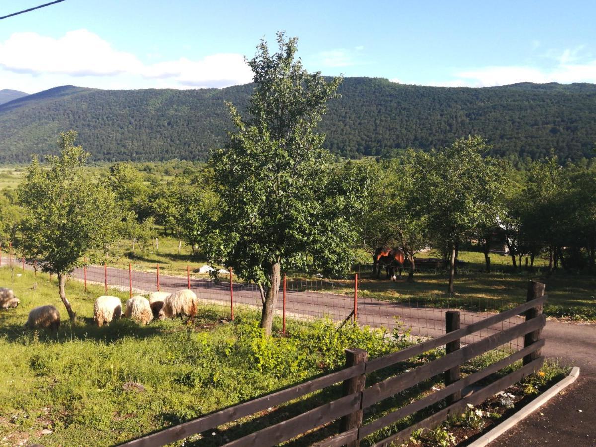 Farma & Apartmani II Opg Sasa Delic Grabusic Bagian luar foto