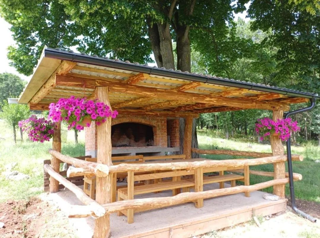 Farma & Apartmani II Opg Sasa Delic Grabusic Bagian luar foto